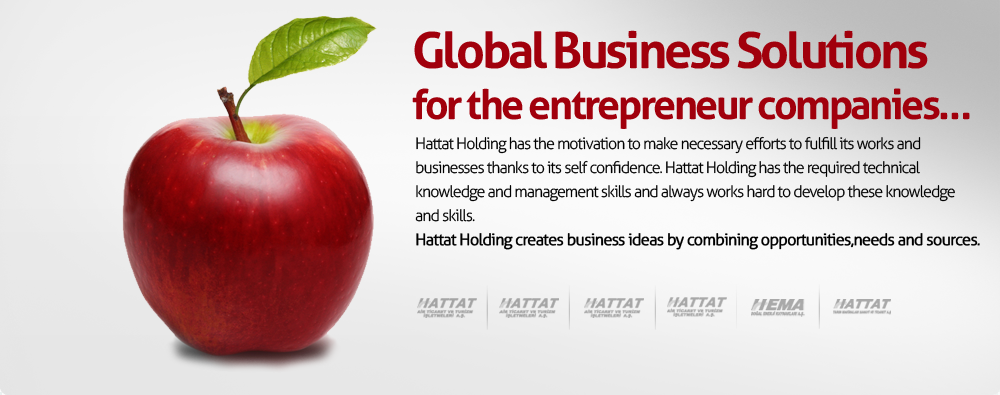 Hattat Holding